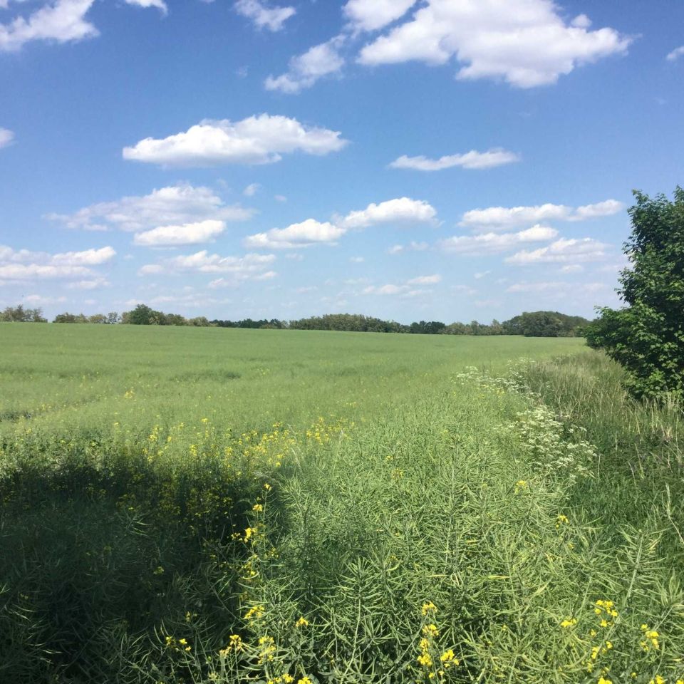 Działka inwestycyjna Dobrzejowice. Zdjęcie 3