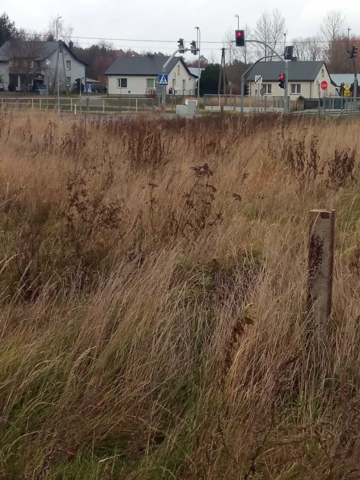 Działka rolno-budowlana Rogóźno, ul. Świergotka. Zdjęcie 3