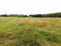 Działka rekreacyjna Władzin. Zdjęcie 4