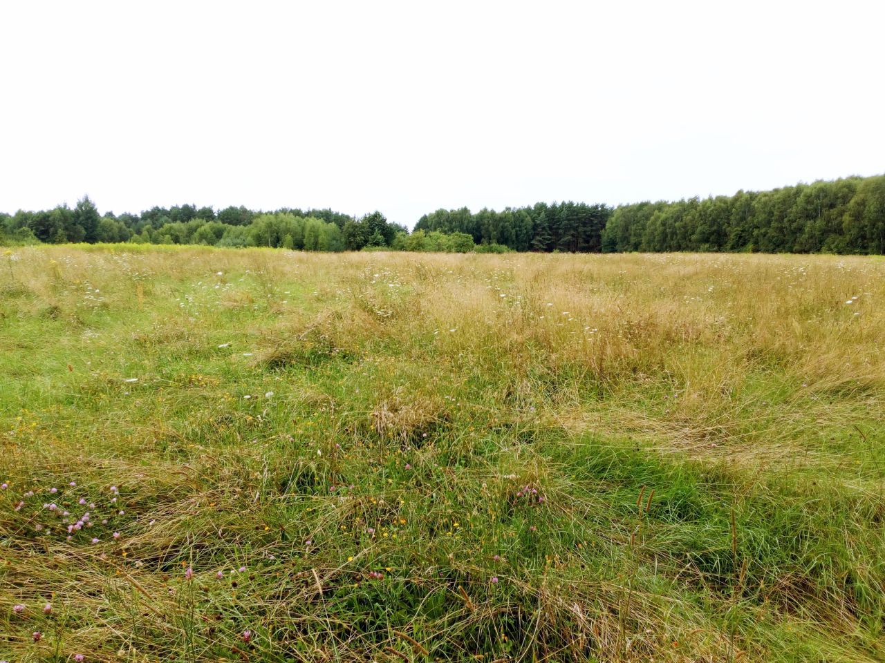 Działka rekreacyjna Władzin. Zdjęcie 5