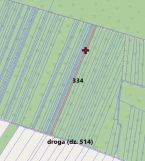 Działka leśna Przełaj Czepiecki. Zdjęcie 3