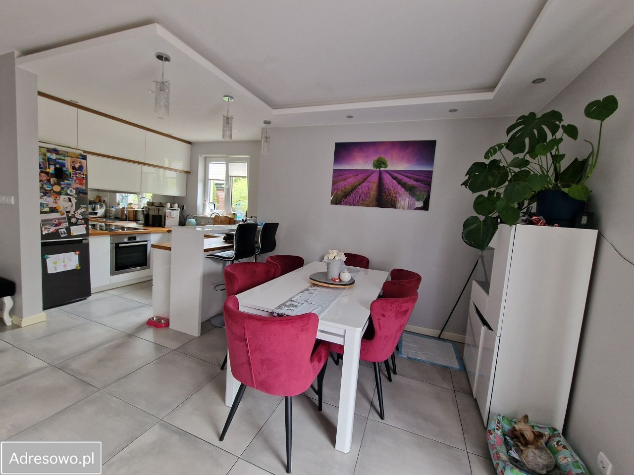 dom wolnostojący, 5 pokoi Ciachcin. Zdjęcie 19