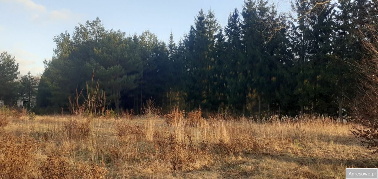 Działka budowlana Łukta. Zdjęcie 3