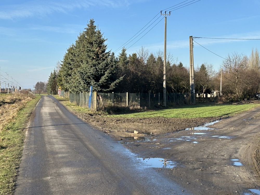 gospodarstwo Domaniew. Zdjęcie 4