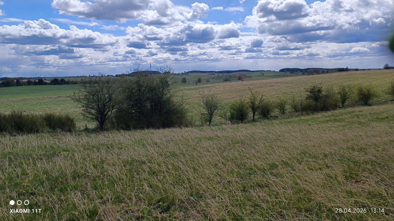 Działka rolno-budowlana Trelkowo. Zdjęcie 3
