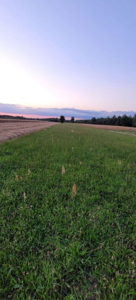 Działka budowlana Groszowice. Zdjęcie 2