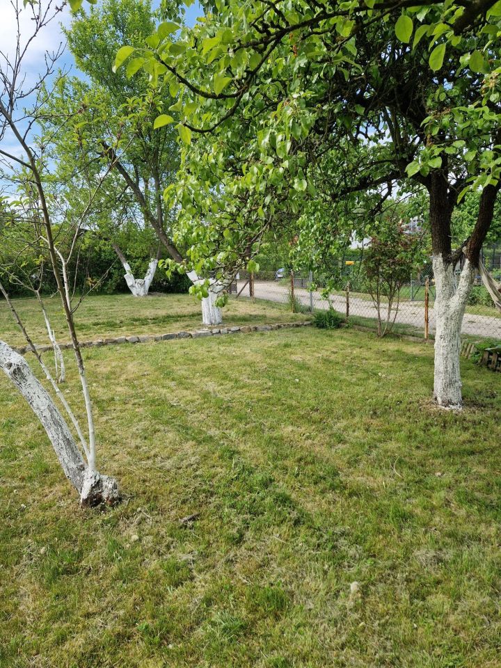 Działka rod Szczecin Bukowe. Zdjęcie 3