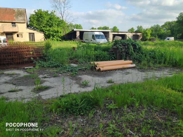 Działka rolna Grodziszów. Zdjęcie 6