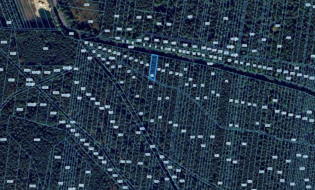 Działka leśna Kolonia Kąty. Zdjęcie 1