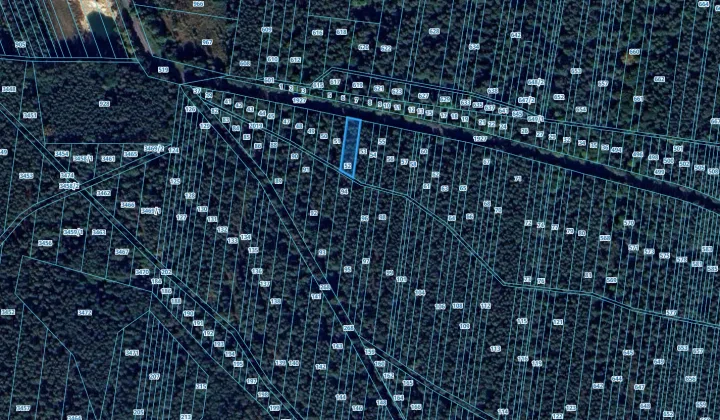 Działka leśna Kolonia Kąty