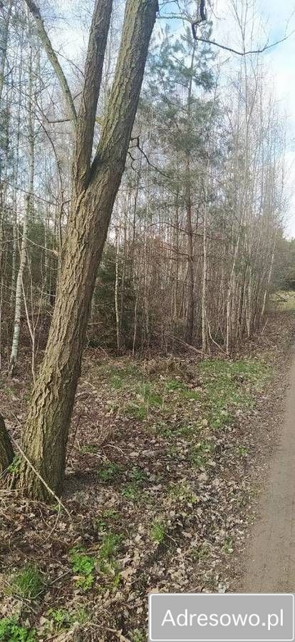 Działka budowlana Stary Sławacinek. Zdjęcie 4