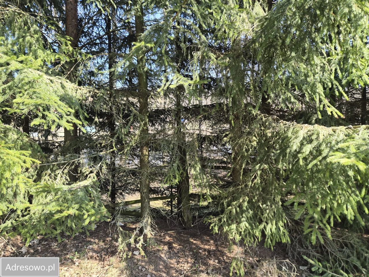 Działka rekreacyjna Sulejki. Zdjęcie 17