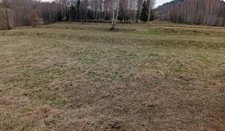 Działka budowlana Krzeszów