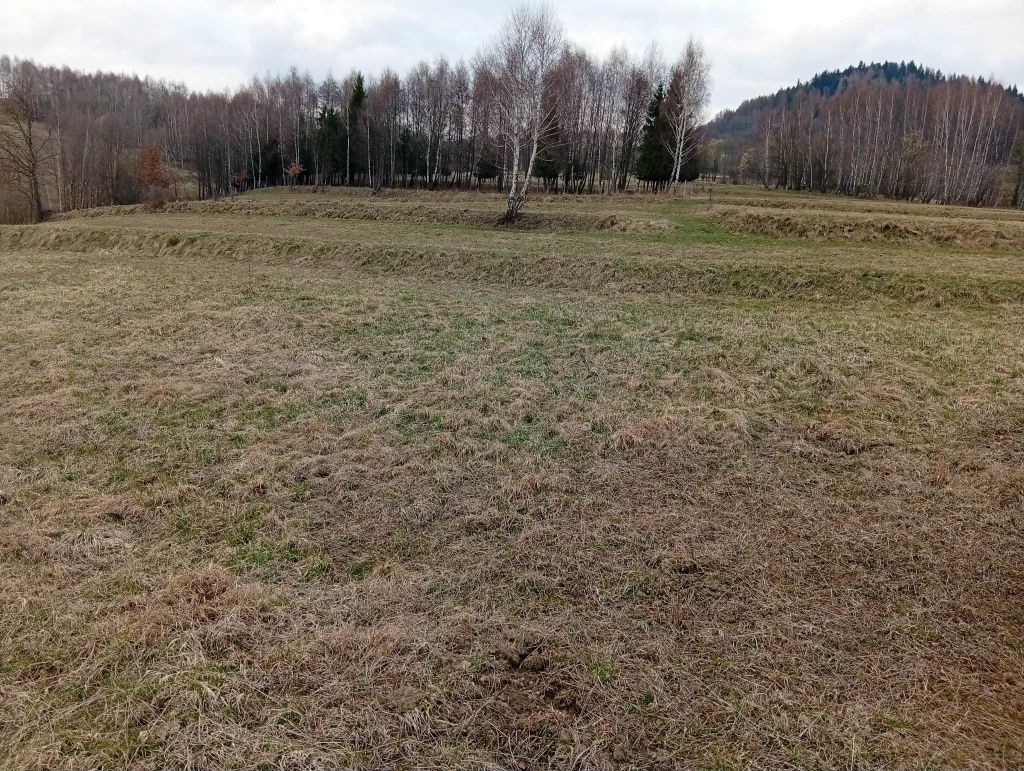 Działka budowlana Krzeszów. Zdjęcie 1