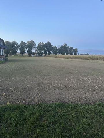 Działka budowlana Łowoszów. Zdjęcie 1