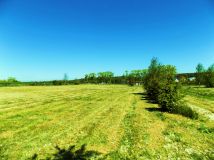 Działka budowlana Mieroszyno Mieroszyno-Parcele, ul. Pucka. Zdjęcie 4