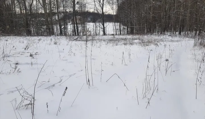 Działka rolna Myszkowice