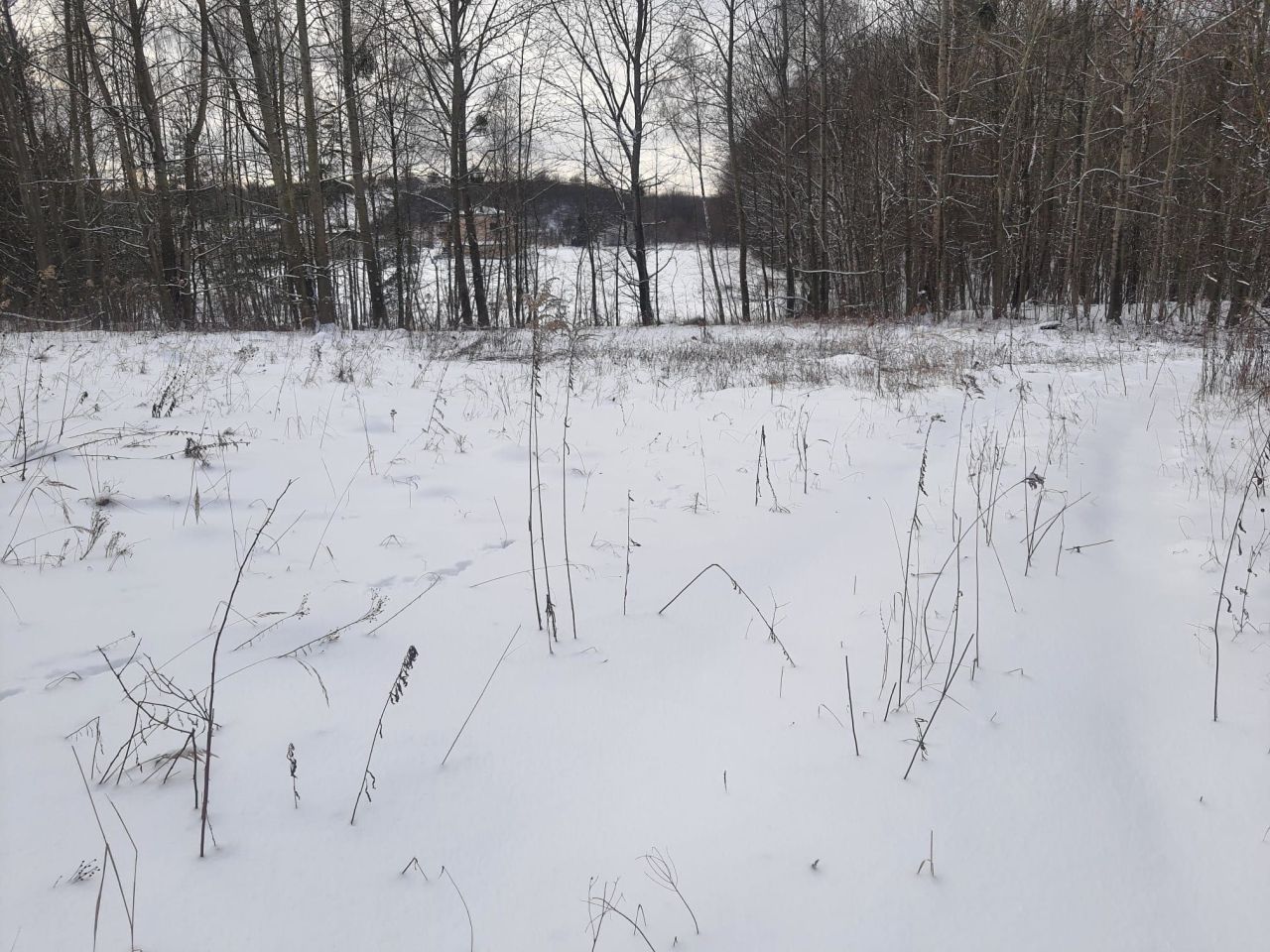 Działka rolna Myszkowice