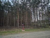 Działka budowlana Jaźwiny. Zdjęcie 3