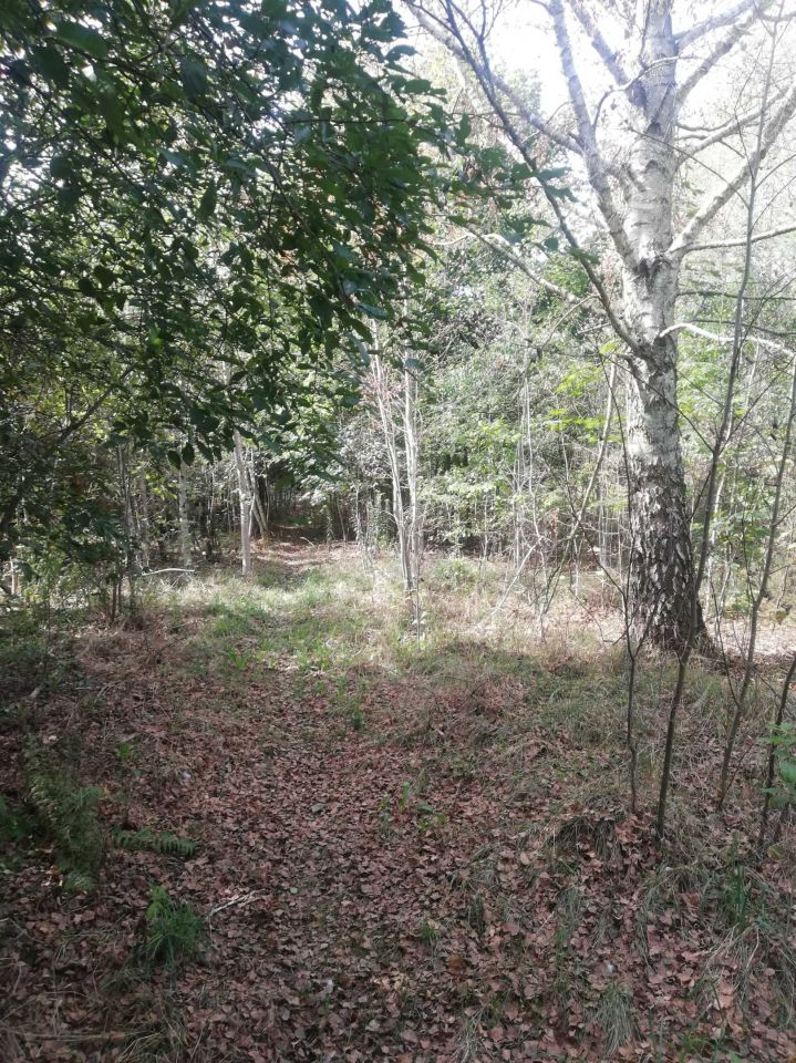 Działka budowlana Obryte. Zdjęcie 6