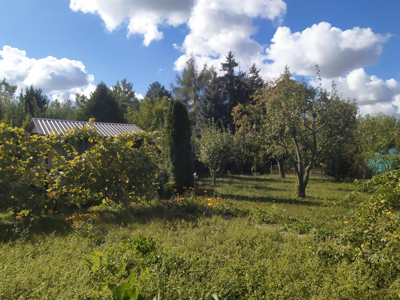 Działka rod Niedźwiada. Zdjęcie 5