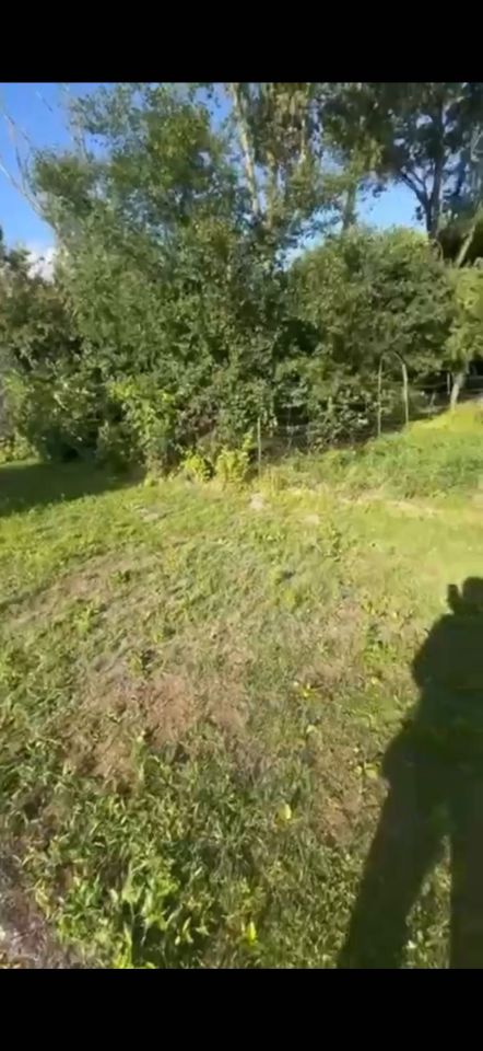 Działka rod Zielona Góra Przylep, ul. Przylep-Solidarności. Zdjęcie 2