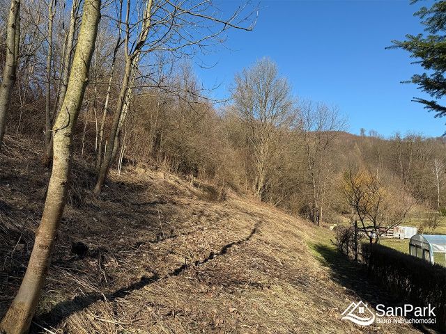 Działka rolna Dębna. Zdjęcie 7