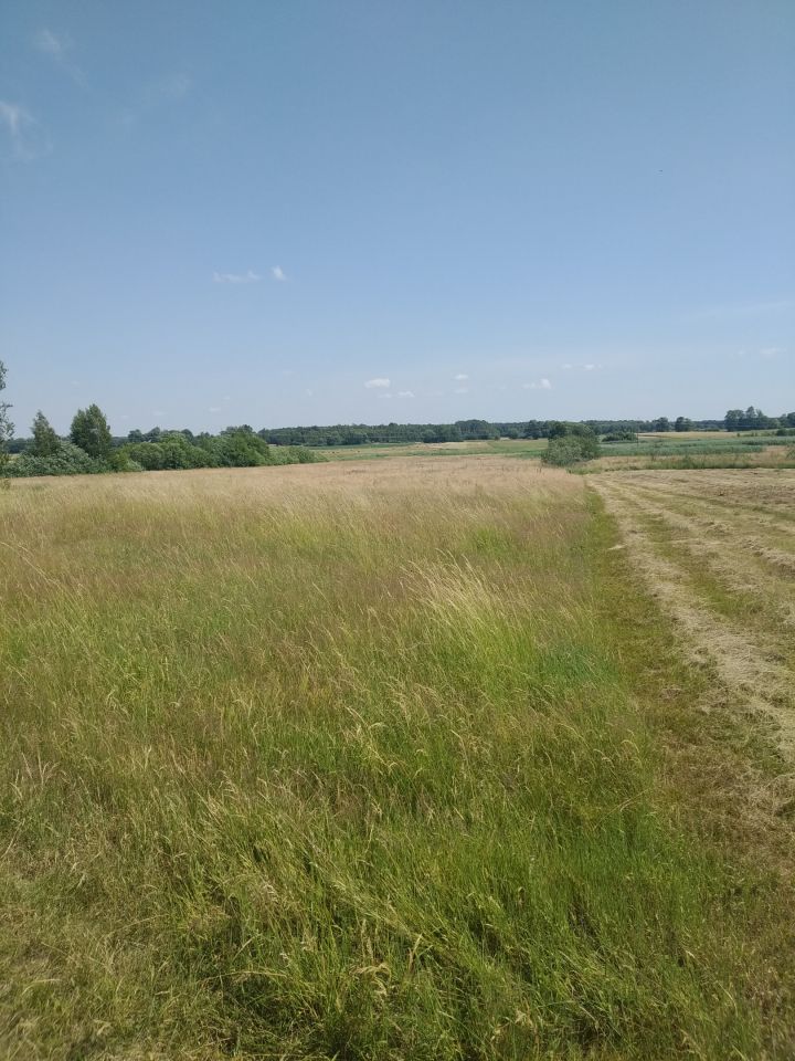 Działka rolna Turno. Zdjęcie 4