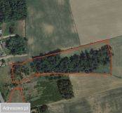 Działka rolna Lisewo. Zdjęcie 1