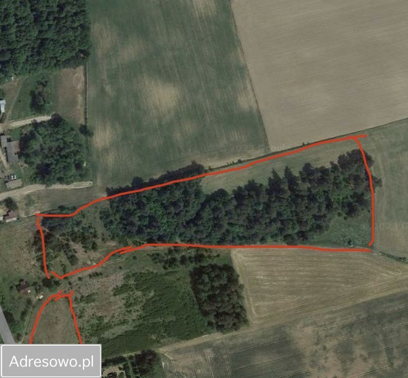 Działka rolna Lisewo. Zdjęcie 2