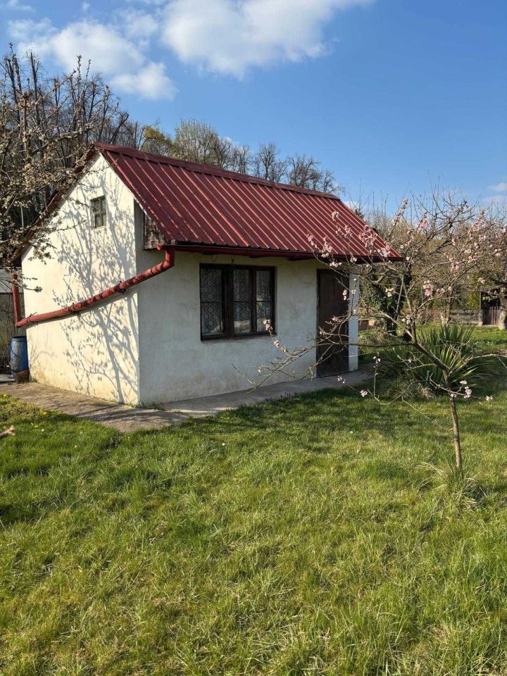 Działka rod Nysa, al. Wojska Polskiego. Zdjęcie 4