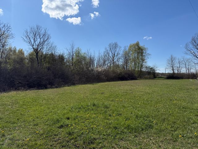 Działka budowlana Ruchenka, ul. Lipowa. Zdjęcie 3