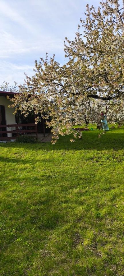 Działka rod Gorzów Wielkopolski, ul. Siewna. Zdjęcie 8