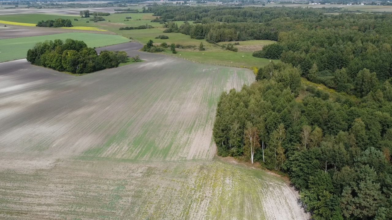 Działka rolna Wielkopole. Zdjęcie 10