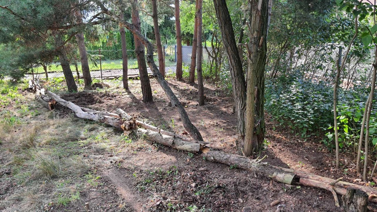 Działka rod Szerominek. Zdjęcie 8