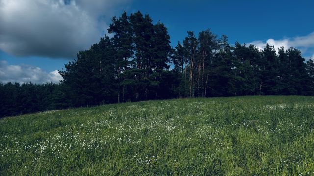 Działka siedliskowa Pobondzie. Zdjęcie 7