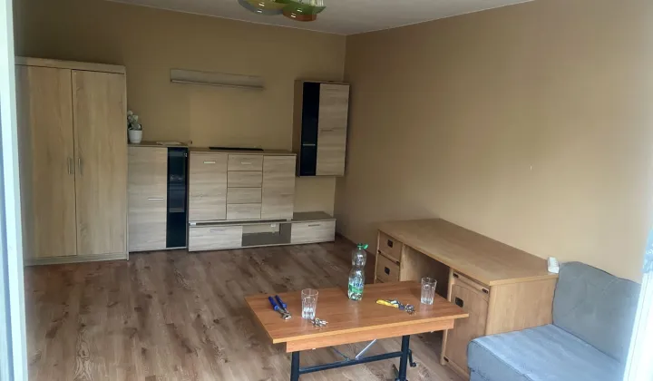 Mieszkanie 1-pokojowe Kraków Bieżanów, ul. Telimeny