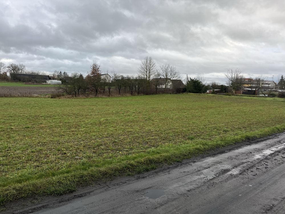 Działka siedliskowa Gogolinek. Zdjęcie 4