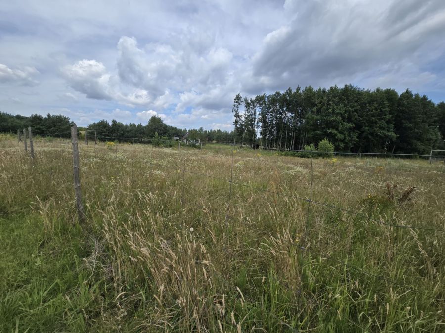Działka budowlana Nowe Polaszki. Zdjęcie 2