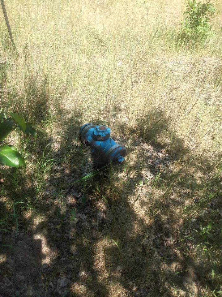 Działka rolno-budowlana Gucin. Zdjęcie 14