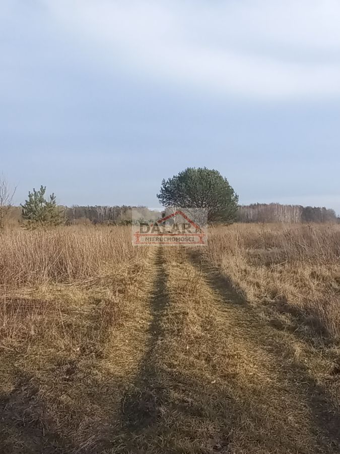 Działka budowlana Bogatki. Zdjęcie 6