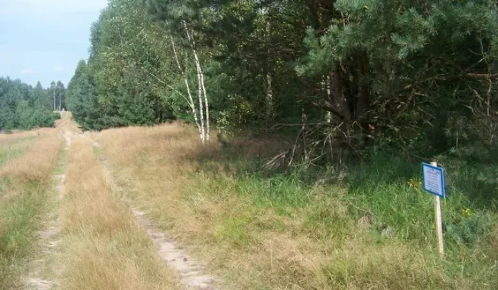 Działka rekreacyjna Topór