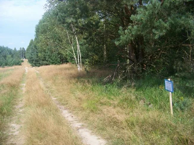 Działka rekreacyjna Topór. Zdjęcie 1