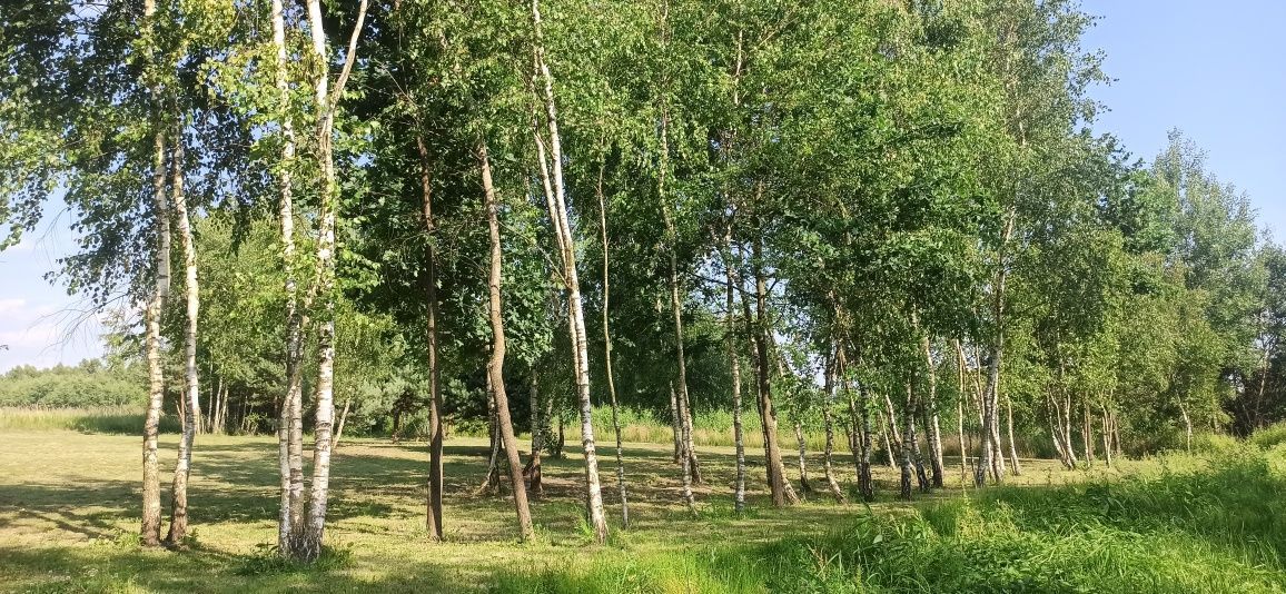 Działka budowlana Rakszawa. Zdjęcie 2