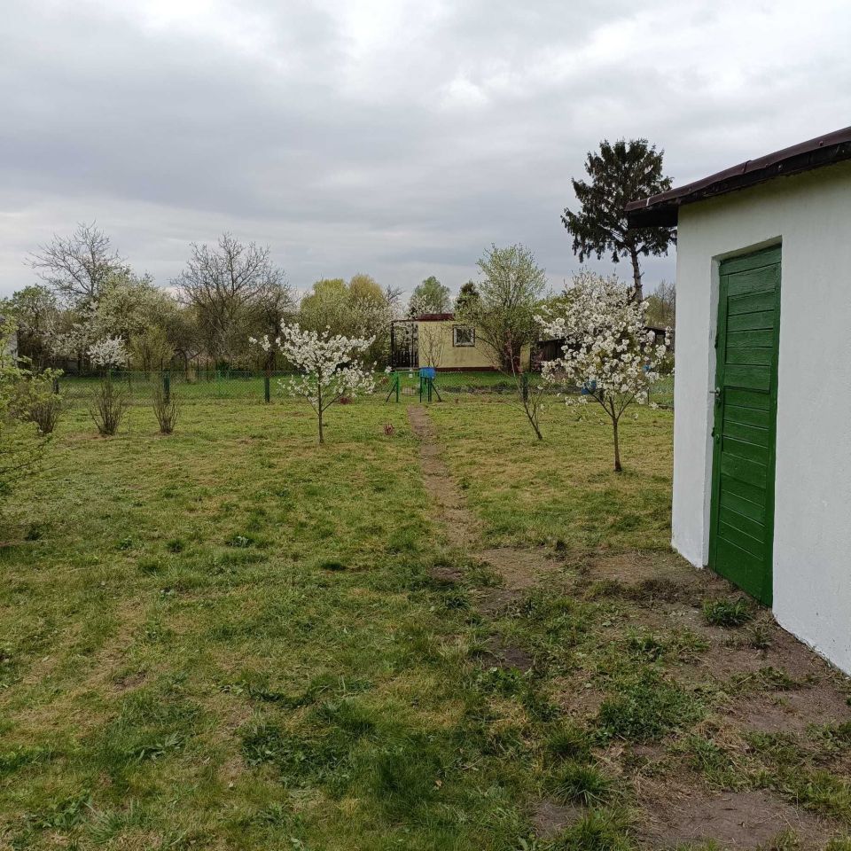 Działka rod Wrocław Żerniki, ul. Szczecińska. Zdjęcie 3