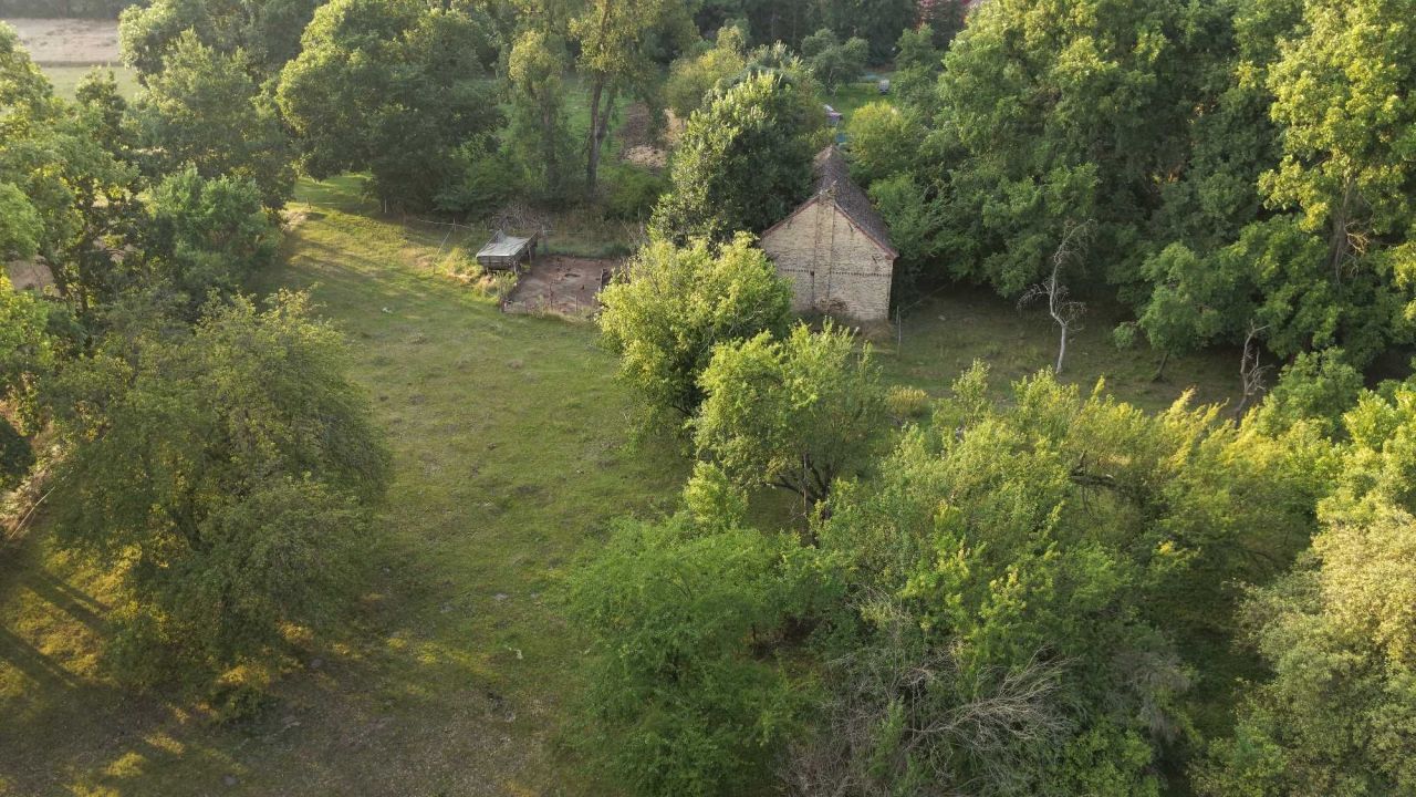 Działka rolno-budowlana Gościnowo. Zdjęcie 5