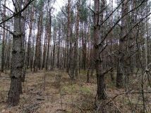 Działka Szlędaki. Zdjęcie 3