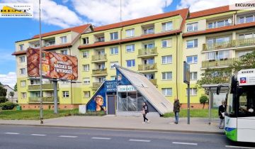 Lokal Szczecin Zdroje, ul. Leszczynowa