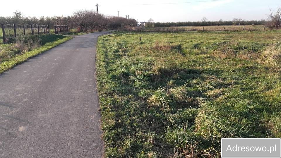 Działka budowlana Komorów. Zdjęcie 5