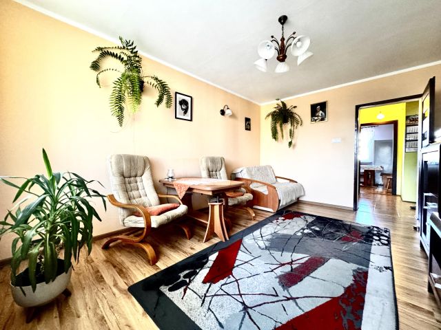 Mieszkanie 2-pokojowe Mława Centrum, os. Książąt Mazowieckich. Zdjęcie 1